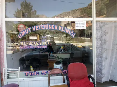 umut veteriner kliniği