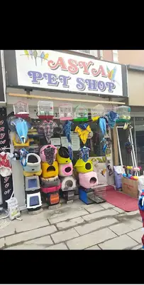 Asya Pet Shop