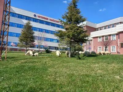 Köpek eğitim birimi
