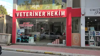 Sinop Veteriner Hekimleri Odası