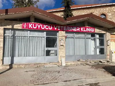 Kuyucu veteriner kliniği