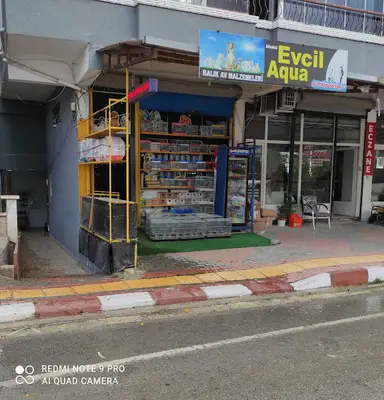 Altinözü evcil akvaryum