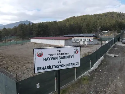 Tosya Belediyesi Sokak Hayvanları Bakım Ve Rehabilitasyon Merkezi fotoğrafı