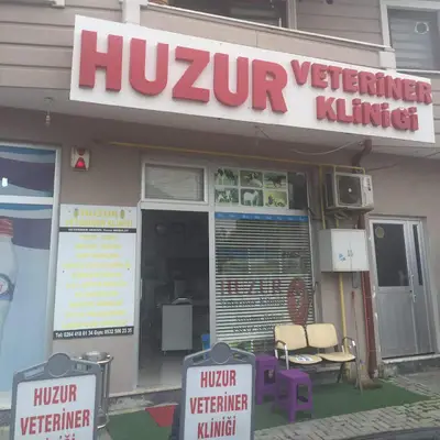 Huzur Veteriner Muayanesi