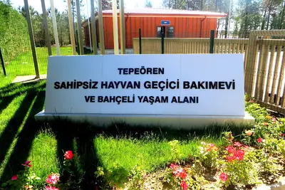 Tepeören Sahipsiz Hayvan Geçici Bakımevi ve Yaşam Alanı fotoğrafı