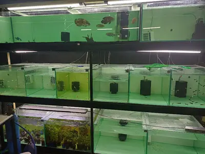 Kupa Akvaryum Petshop