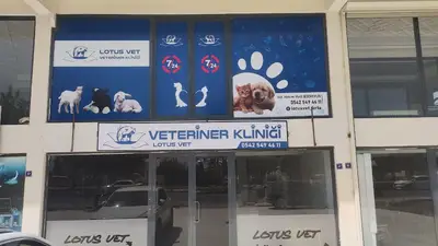 Lotus Veteriner Kliniği Şanlıurfa fotoğrafı