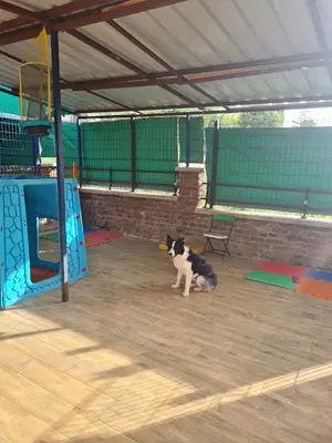 Luna Pet Otel