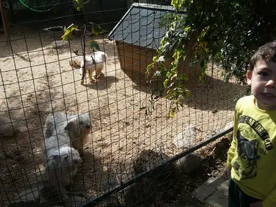 Bilge vet köpek çiftliği