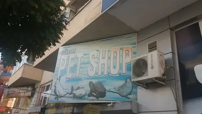Gözde petshop