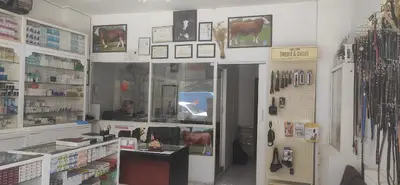 Hannan Veteriner Muayenehanesi