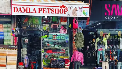 Damla Pet Shop