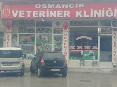 OSMANCIK VETERİNER KLİNİGİ