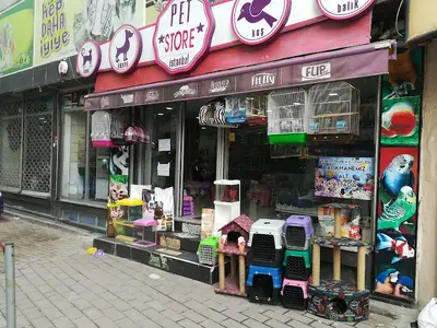 Pet Store Istanbul