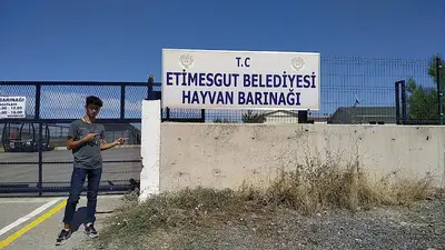 Hayvan Barınağı fotoğrafı