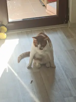 KAMACI VETERİNER KLİNİĞİ