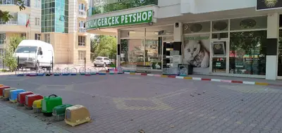 Gerçek Petshop ve Akvaryum Ahmet özcan caddesi fotoğrafı