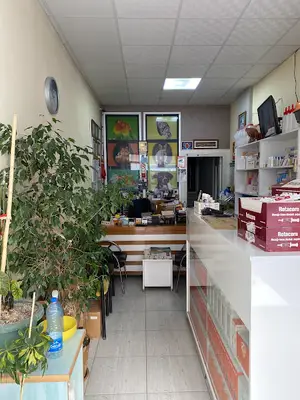 Ilkem Veteriner Muayenehanesi