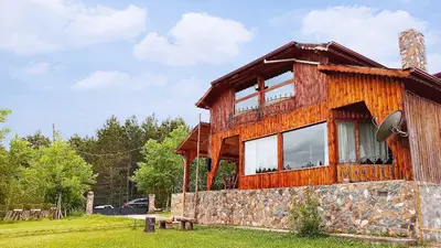 Petunya Orman Evi