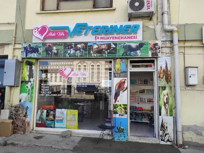 Doctor Ölmez Veteriner kliniği