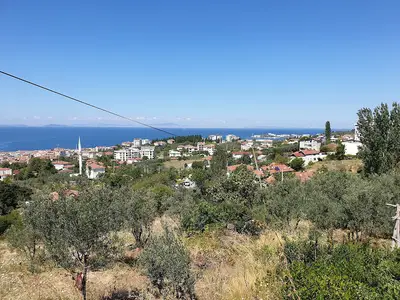Çınarcık Sokak Hayvanları Rehabilitasyon Merkezi