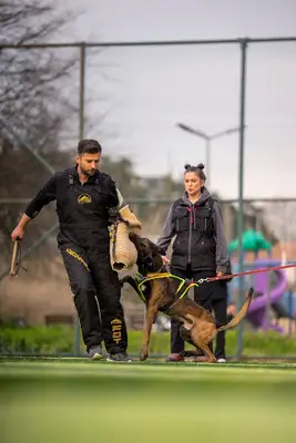 Gökhan Er - Bursa Köpek Eğitimi