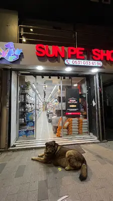 Sun Petshop