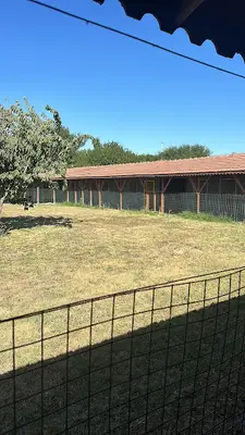 Köpek Eğitim Merkezi fotoğrafı