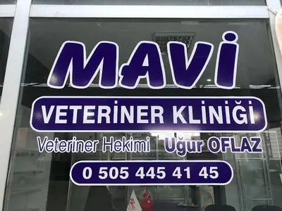 Mavi Veteriner Kliniği