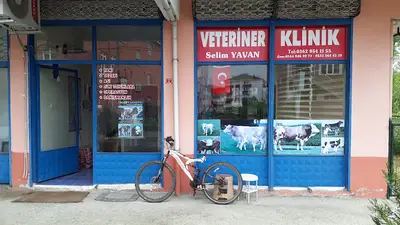 Yavan veteriner kliniği