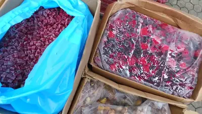 Herrmanns Organik Yaş Mama