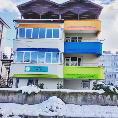Özel Aktif Özel Eğitim ve Rehabilitasyon Merkezi
