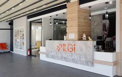 İlgi Hayvan Hastanesi fotoğrafı