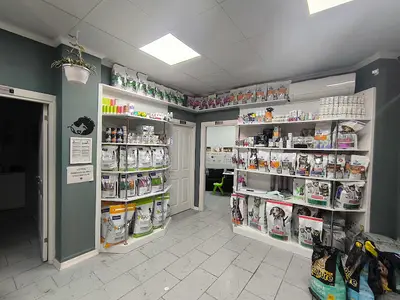 Zeytin Veteriner Kliniği Muayenehanesi