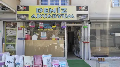 Deniz akvaryum mamak