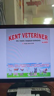 Kent veteriner kliniği