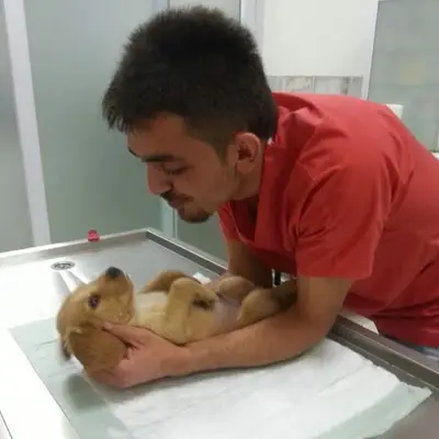 Maslak Veteriner Kliniği