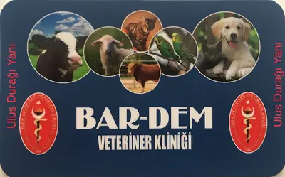 Kemer Veteriner Kliniği