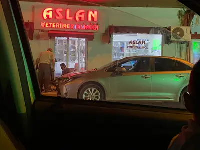 ASLAN VETERİNER KLİNİĞİ