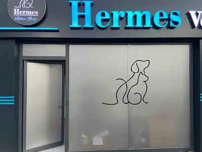 Yolbaş Veteriner Kliniği