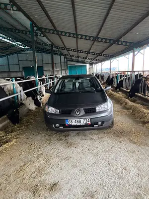 FURKAN VETERİNER KLİNİĞİ BOZCAMAHMUT