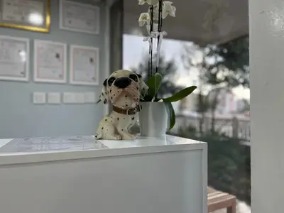Bayındır Veteriner Kliniği fotoğrafı