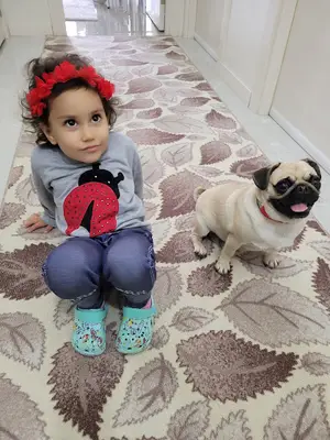 Ankara_kopek_egitim