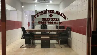 Kaya Veteriner Kliniği