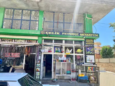 Pati petshop
