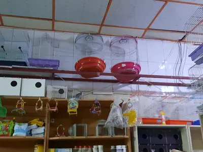 Petshop Ahmet Can