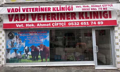 Vadi Veteriner Kliniği