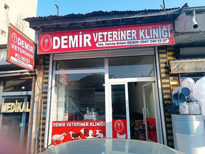Demir veteriner kliniği