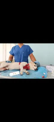 Karpuzlu Veteriner Kliniği