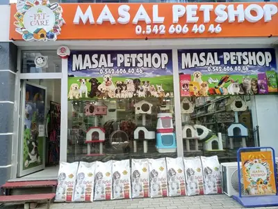 Masal petshop koçarlı